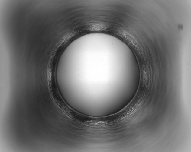 X0000094080539200711021515