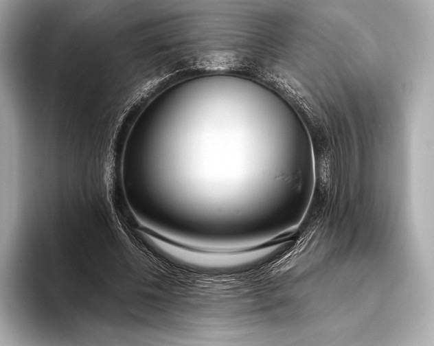 X0000094080540200711021515