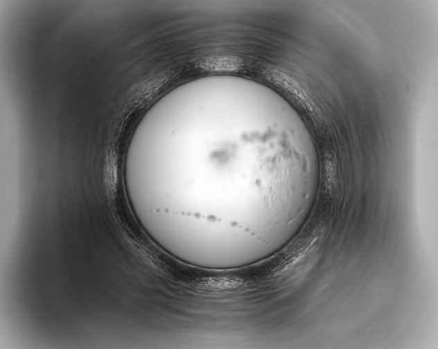 X0000094080541200711021515