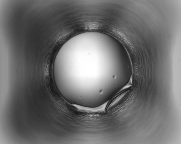 X0000094080543200711021515