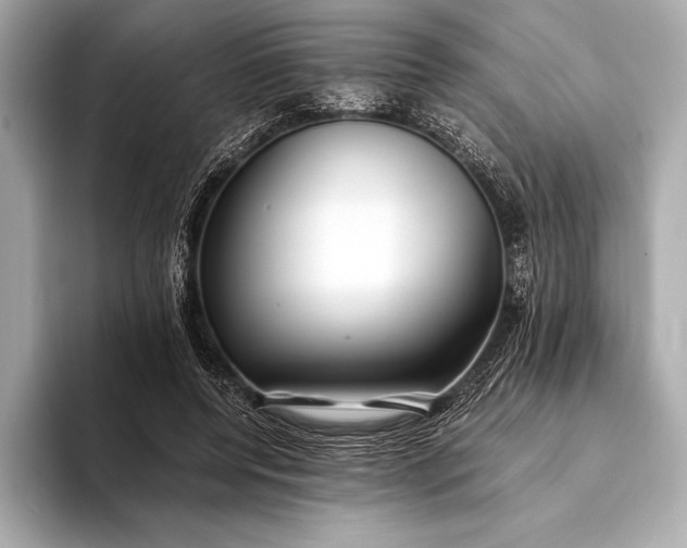 X0000094080544200711021515