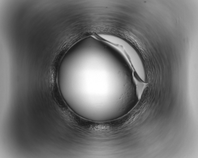 X0000094080546200711021515