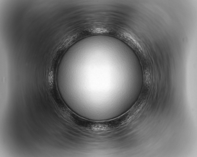 X0000094080549200711021515