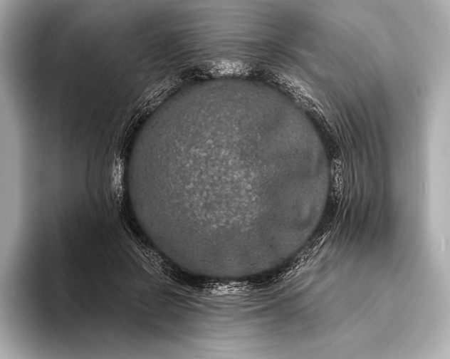 X0000094080550200711021515