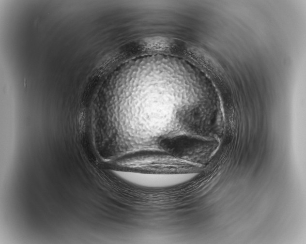 X0000094080551200711021515