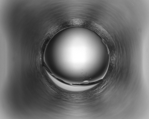 X0000094080552200711021515