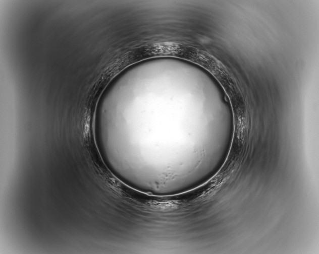 X0000094080553200711021515