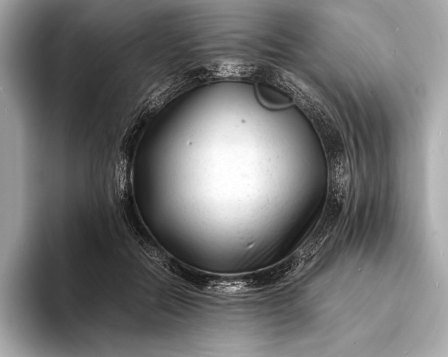 X0000094080554200711021515