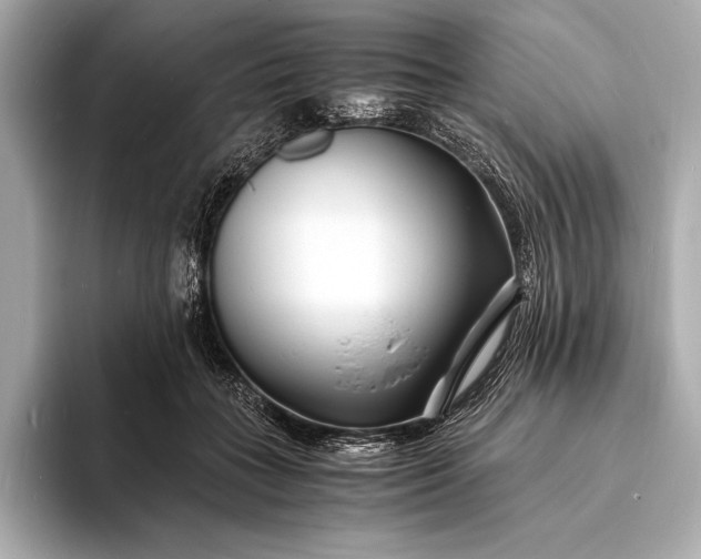 X0000094080555200711021515