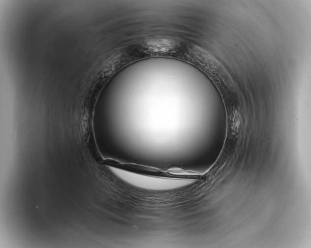 X0000094080559200711021515