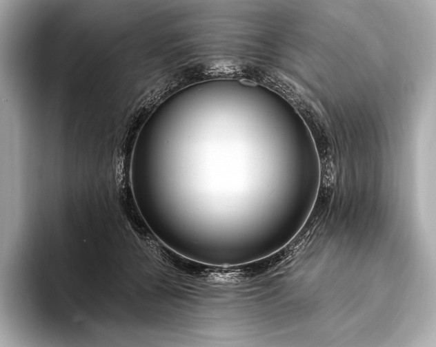 X0000094080560200711021515