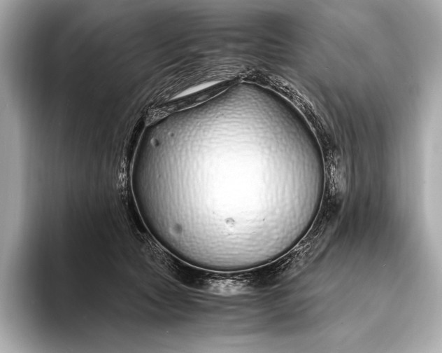 X0000094080561200711021515