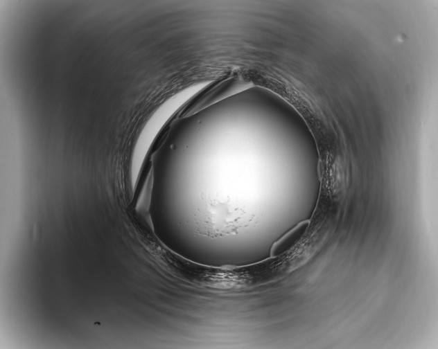 X0000094080562200711021515