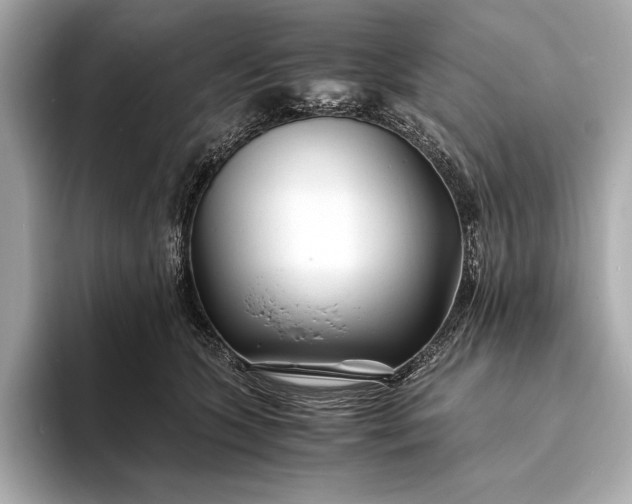 X0000094080563200711021515