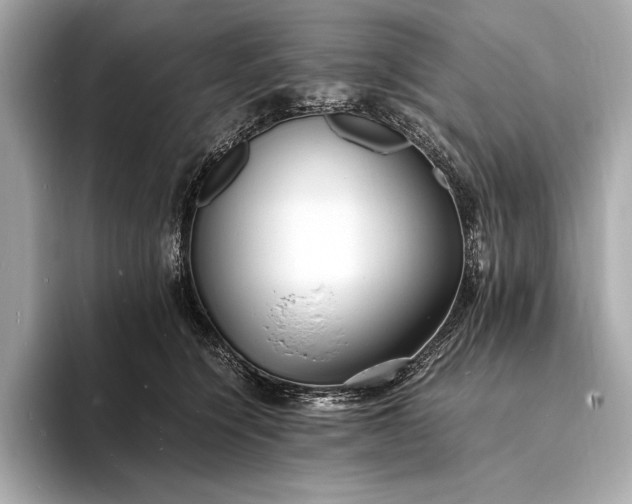 X0000094080564200711021515