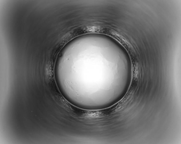 X0000094080569200711021515