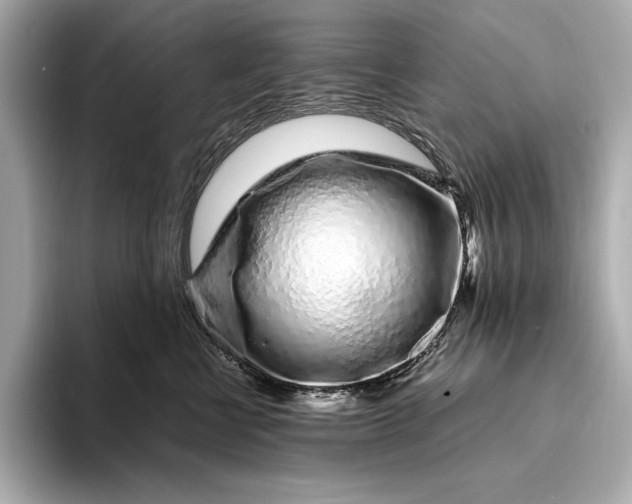 X0000094080570200711021515