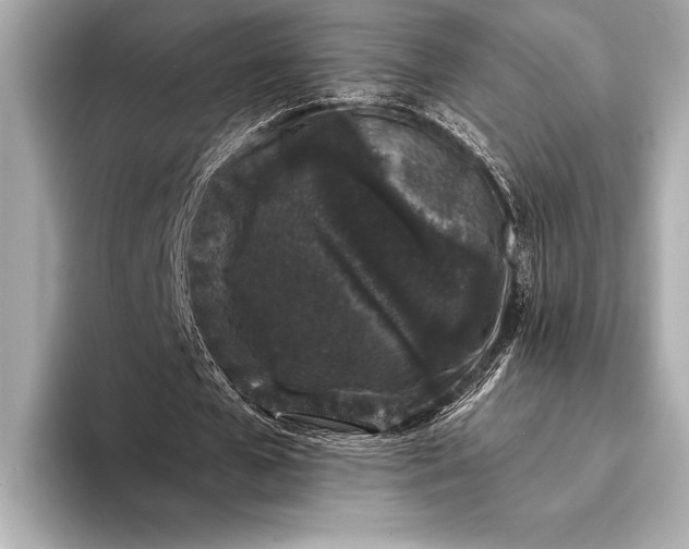 X0000094080577200711021515