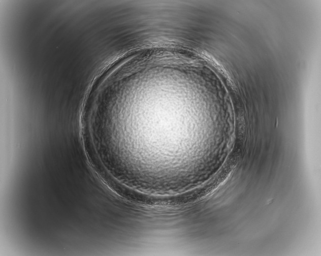 X0000094080581200711021515