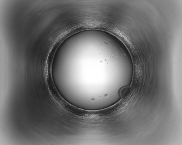 X0000094080582200711021515