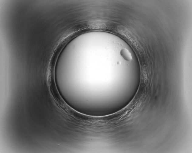 X0000094080583200711021515