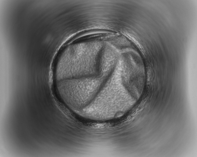 X0000094080584200711021515