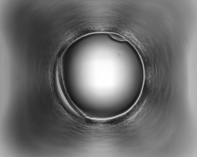 X0000094080585200711021515