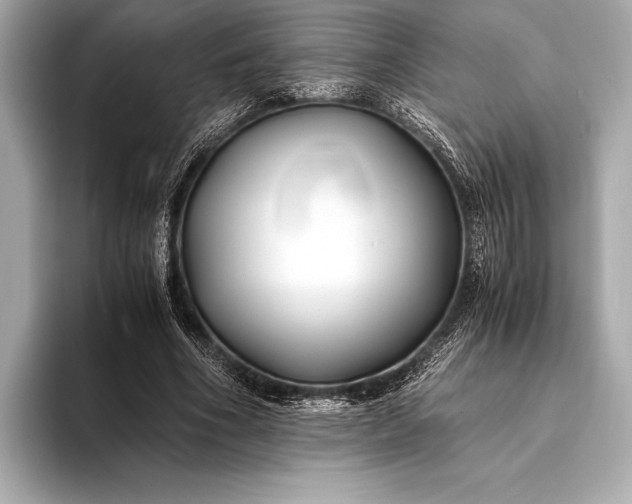 X0000094080586200711021515