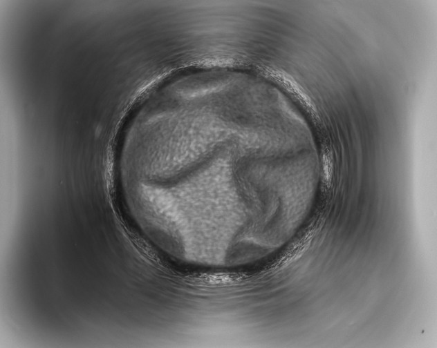 X0000094080588200711021515