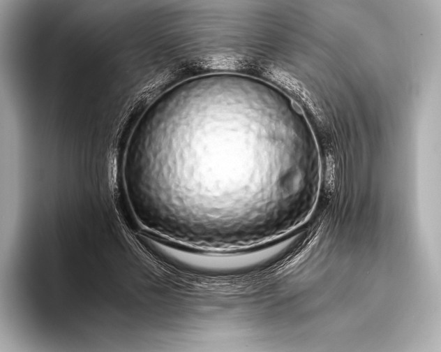 X0000094080589200711021515