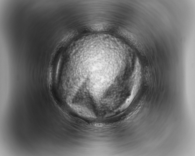 X0000094080590200711021515