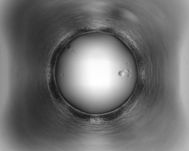 X0000094080591200711021515