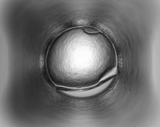 X0000094080593200711021515