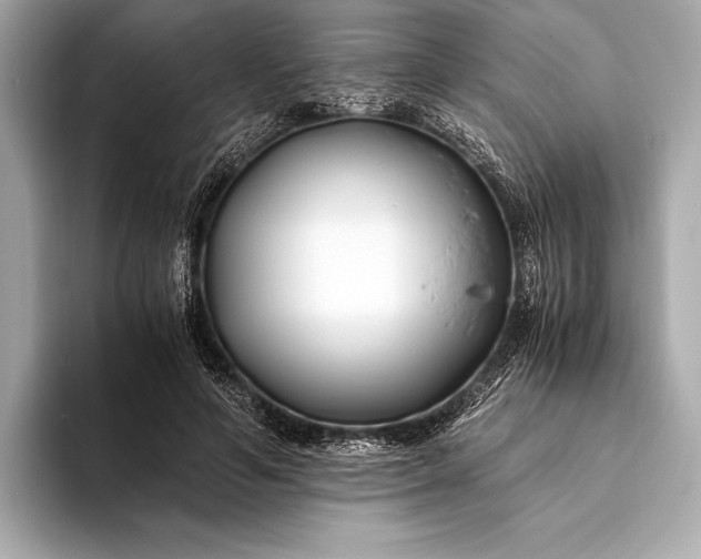 X0000094080594200711021514