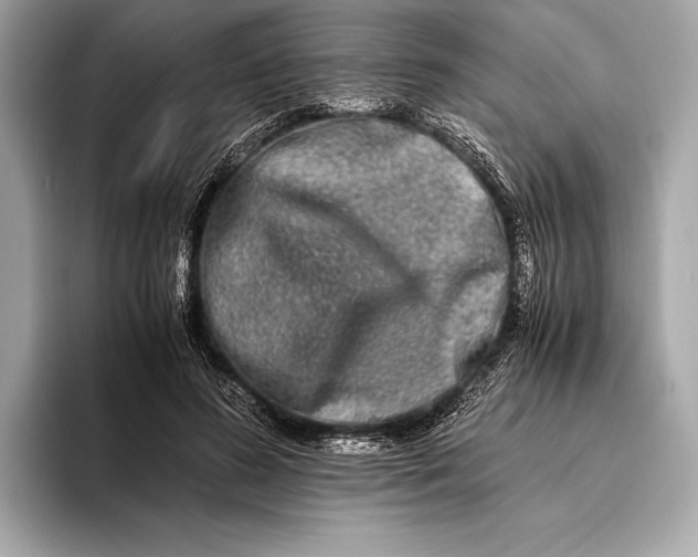 X0000094080596200711021514