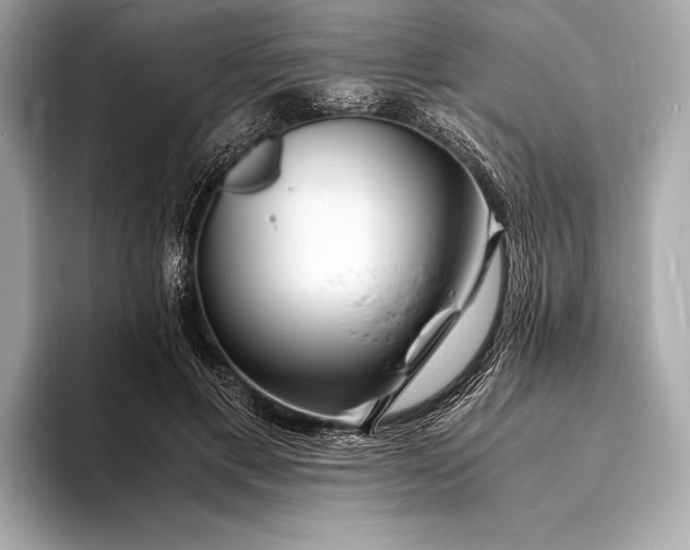 X0000094080597200711021514