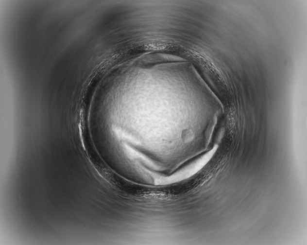 X0000094080598200711021514