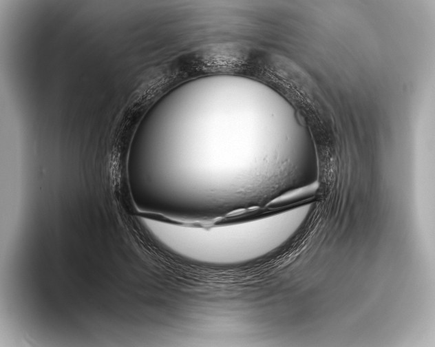 X0000094080599200711021514