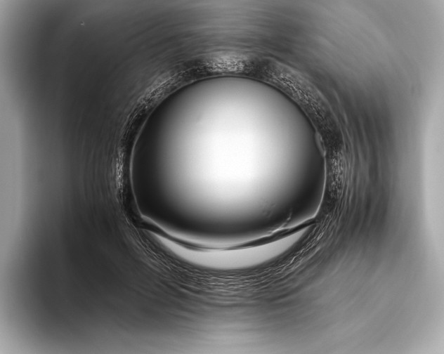 X0000094080600200711021514