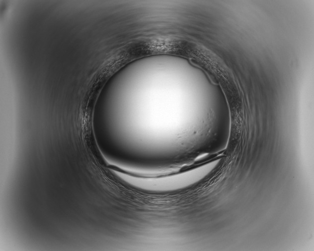 X0000094080601200711021514