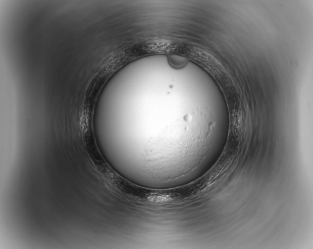 X0000094080602200711021514