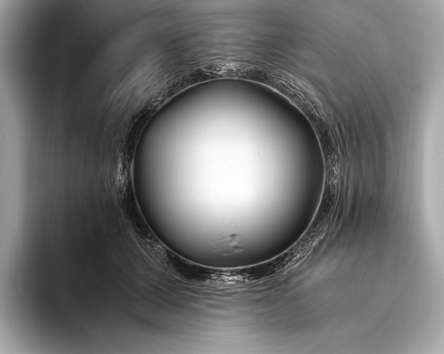 X0000094080607200711021514