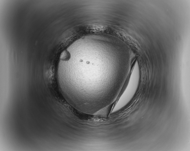 X0000094080608200711021514