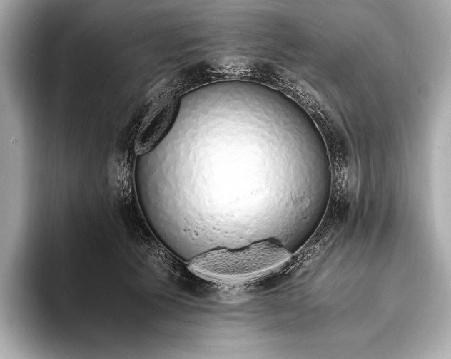 X0000094080609200711021514