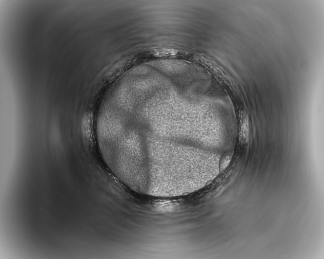 X0000094080616200711021514