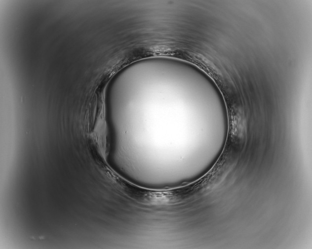 X0000094080618200711021514