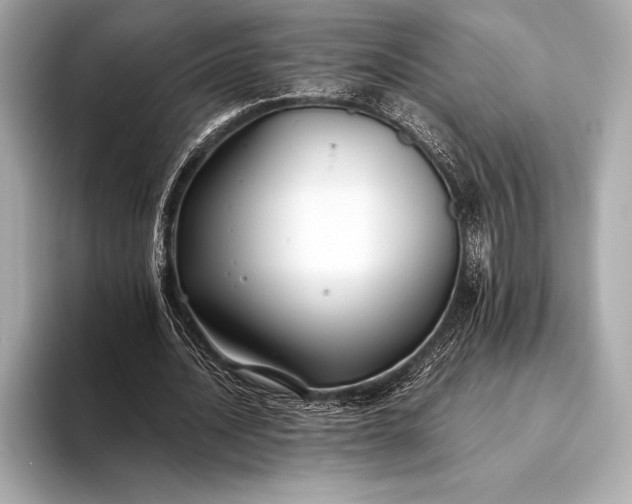 X0000094080628200711021514