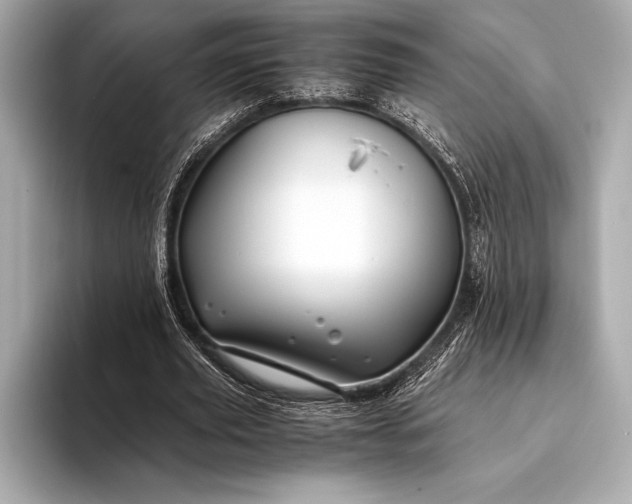 X0000094080629200711021514