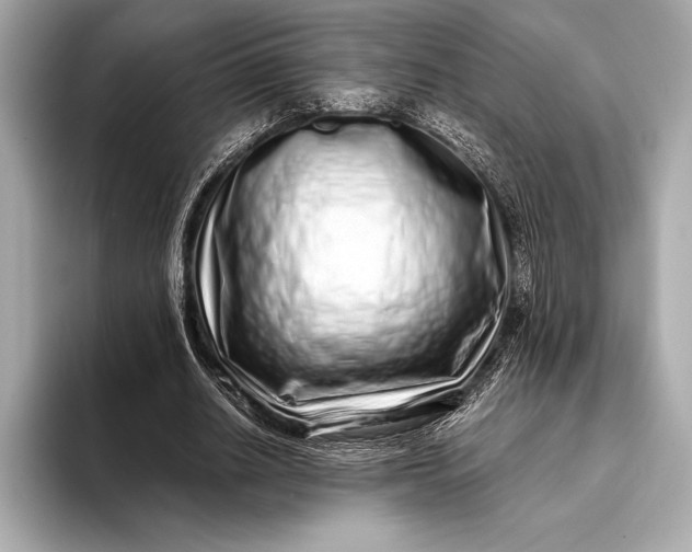 X0000094080630200711021514