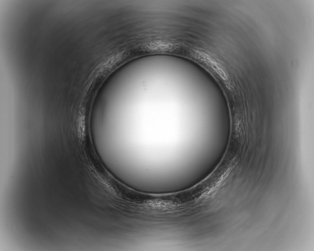 X0000094080633200711021514